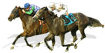Horse Racing
